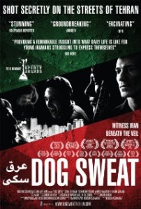 dog-sweat