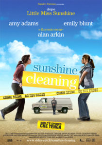 sunshine cleaning