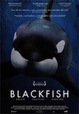 blackfish
