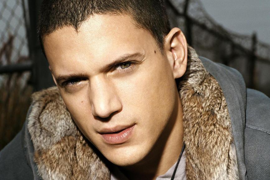 Wentworth Miller viso