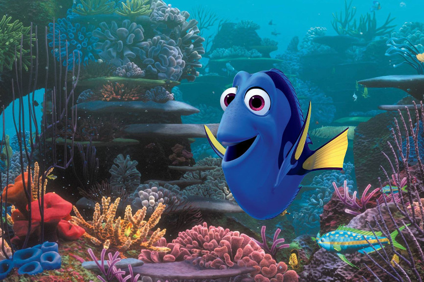 Alla Ricerca Di Dory