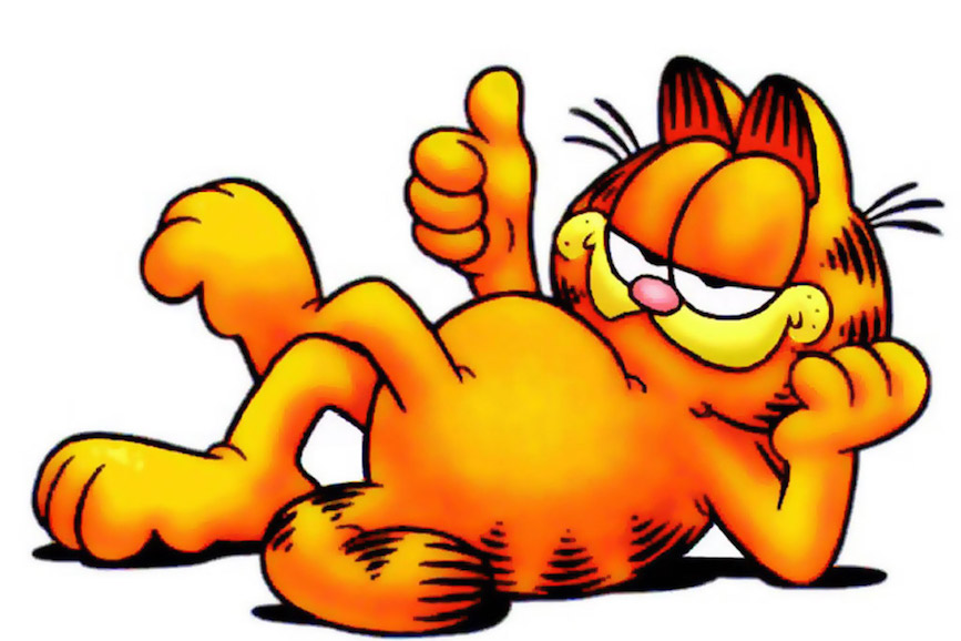 Garfield Picture Wallpaper 001 1024