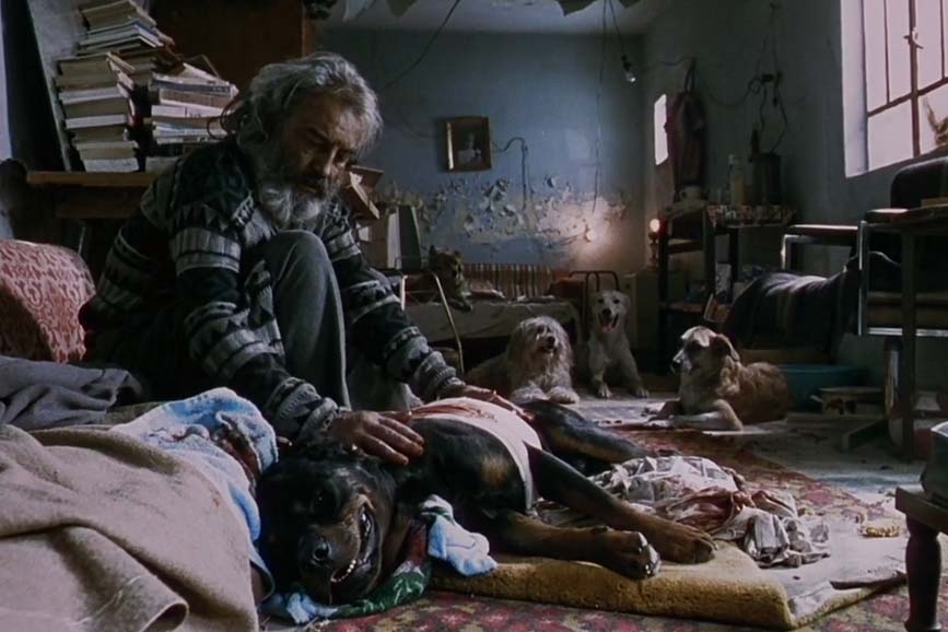 Amores Perros 2