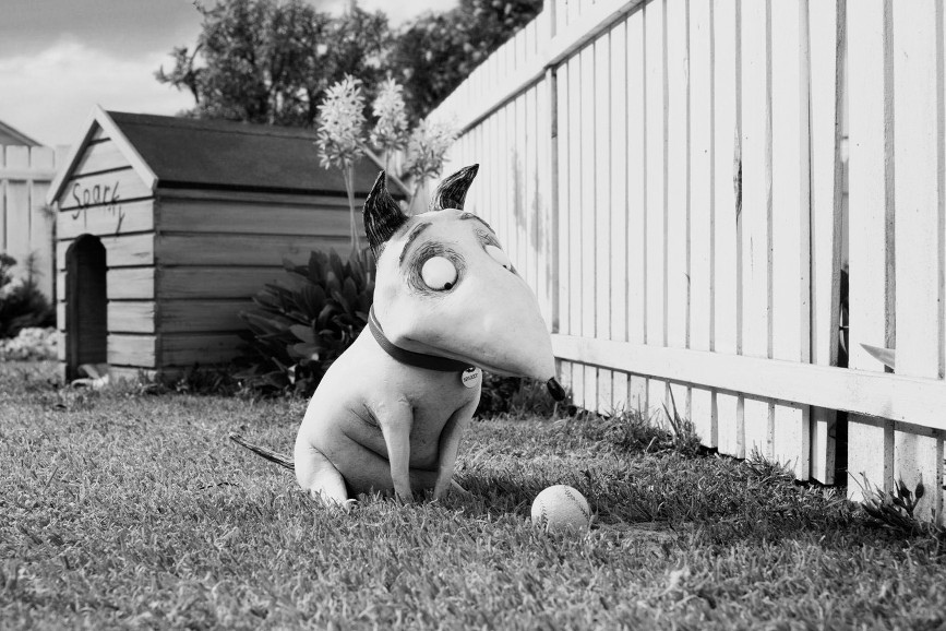 Frankenweenie