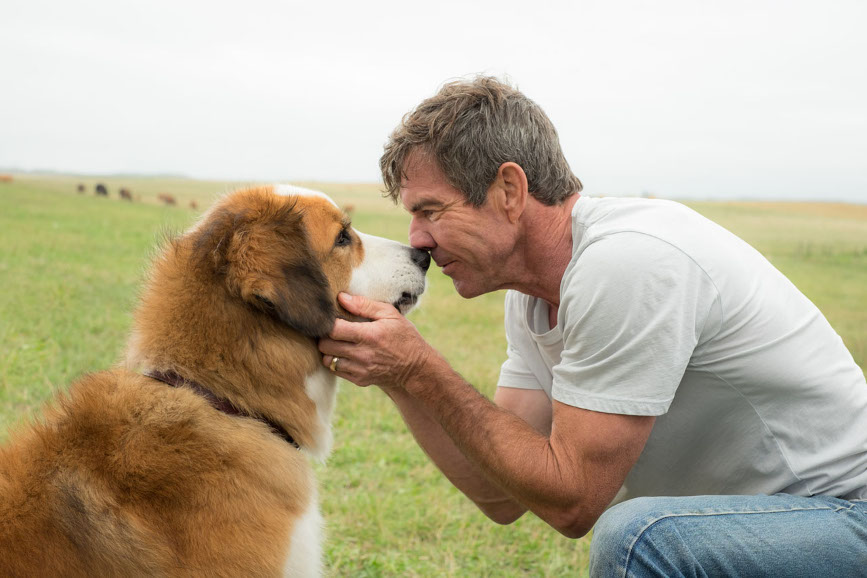 "Qua la zampa": il protagonista canino con il suo padrone.