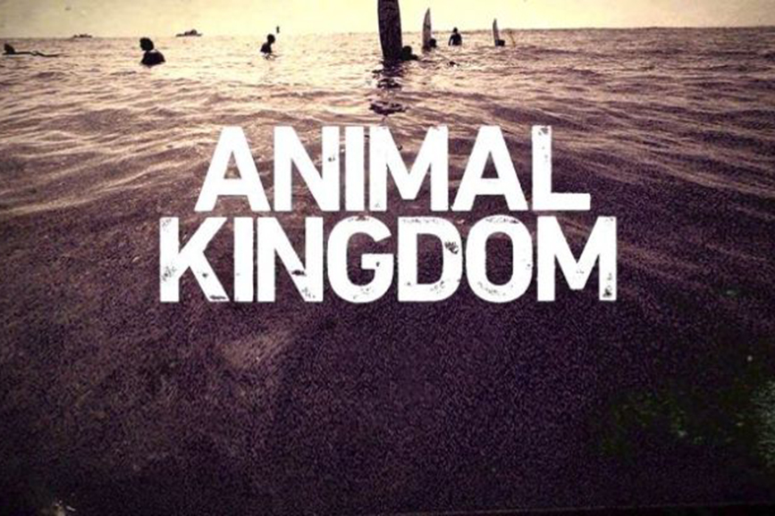 Animal Kingdom copertina