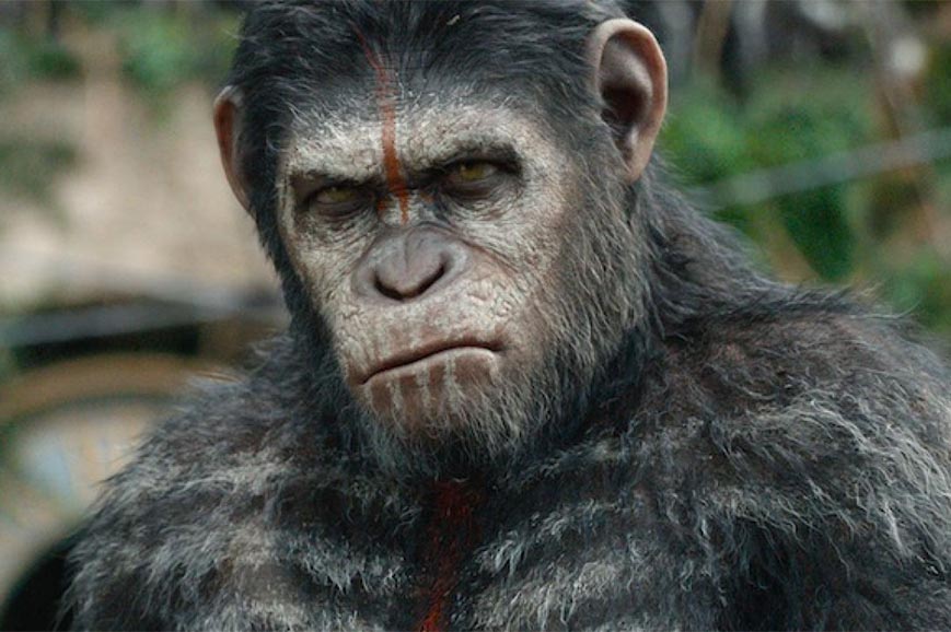 Box Office Usa scena del film "The War - Il pianeta delle scimmie"