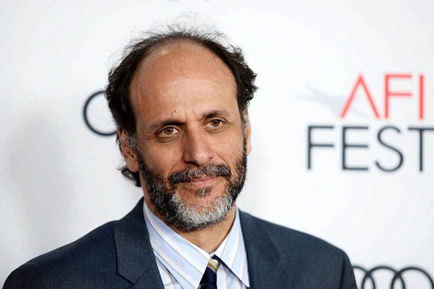 Luca Guadagnino Director