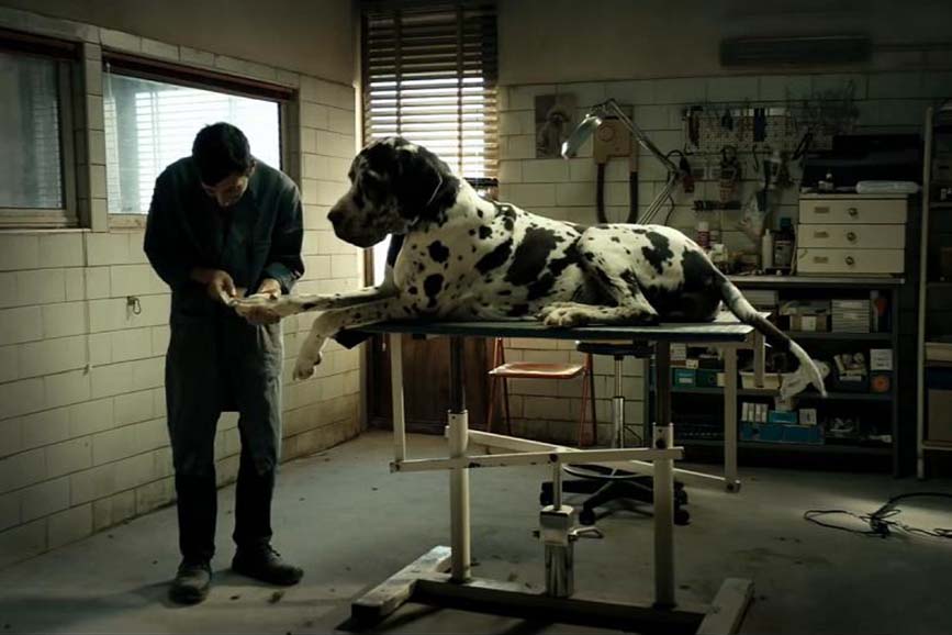 Dogman di Matteo Garrone