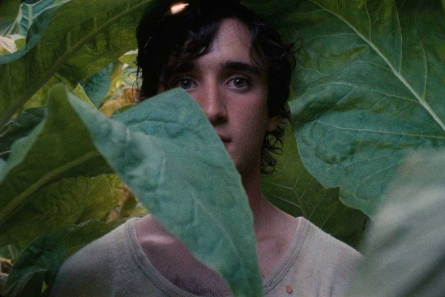 Festival di Cannes 2018: Lazzaro felice