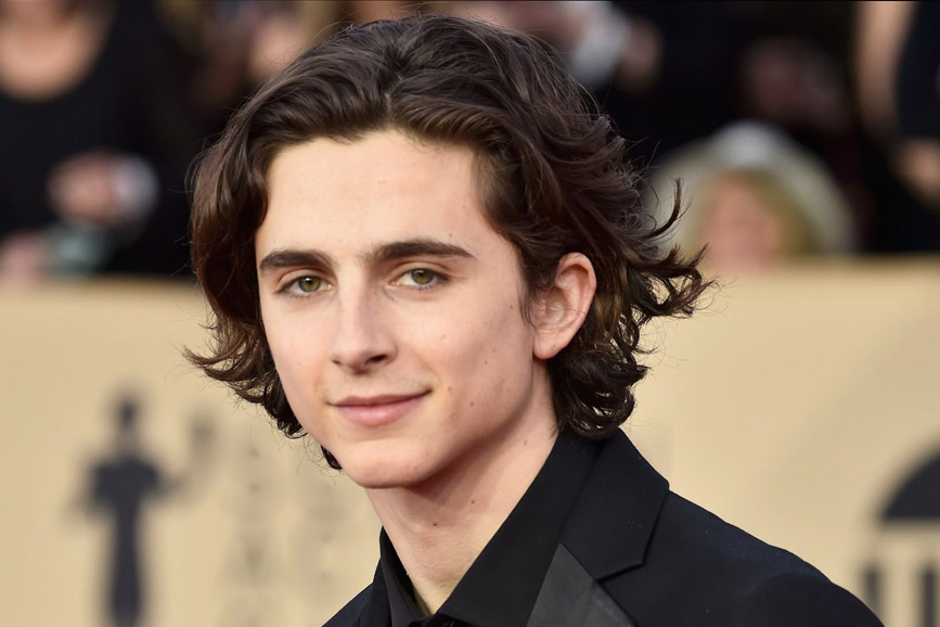 foto di Timothée Hal Chalamet Timothee Hal Chalamet 2018