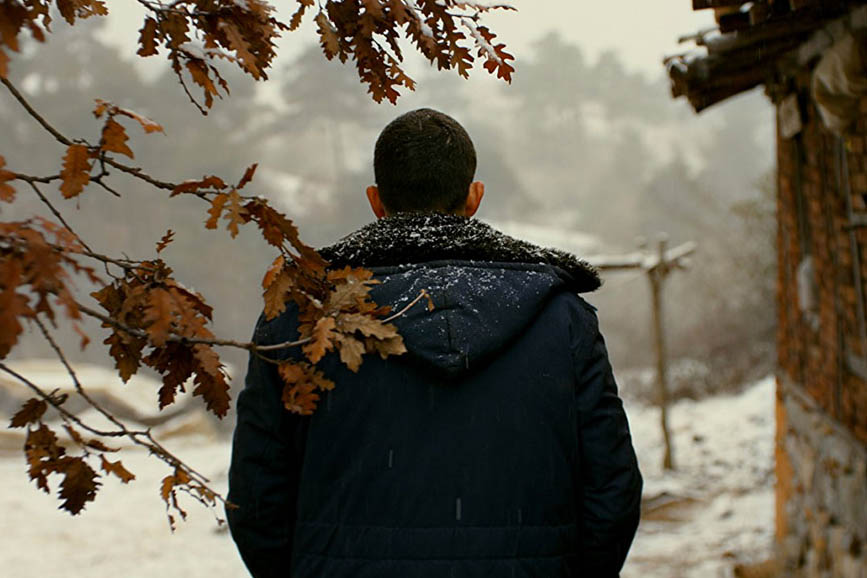 L’albero dei frutti selvatici (2018)