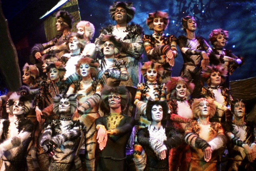 cats musical scena