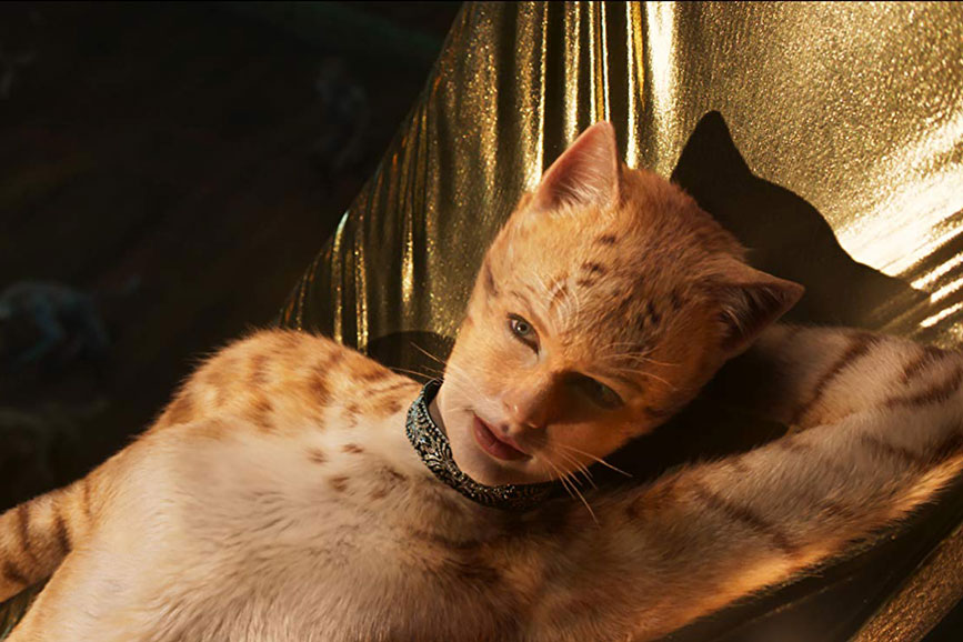 Cats - 2019