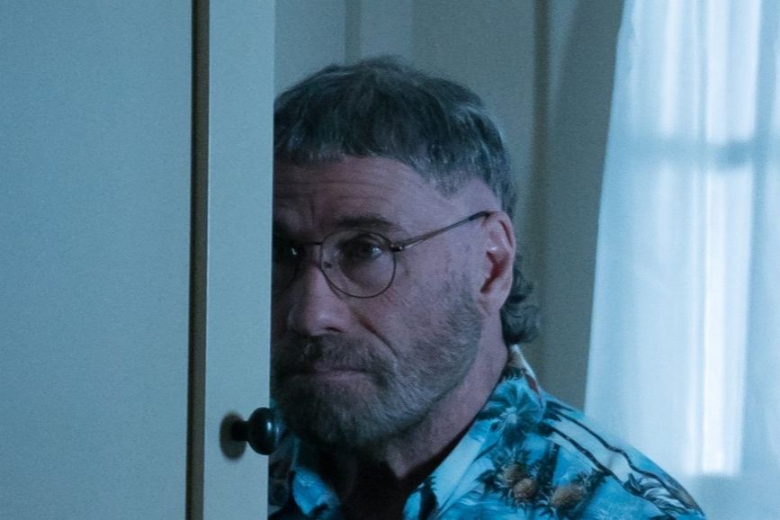 The Fanatic (2019)