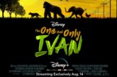 Angelina Jolie produttrice del nuovo film Disney “L’unico e insuperabile Ivan”