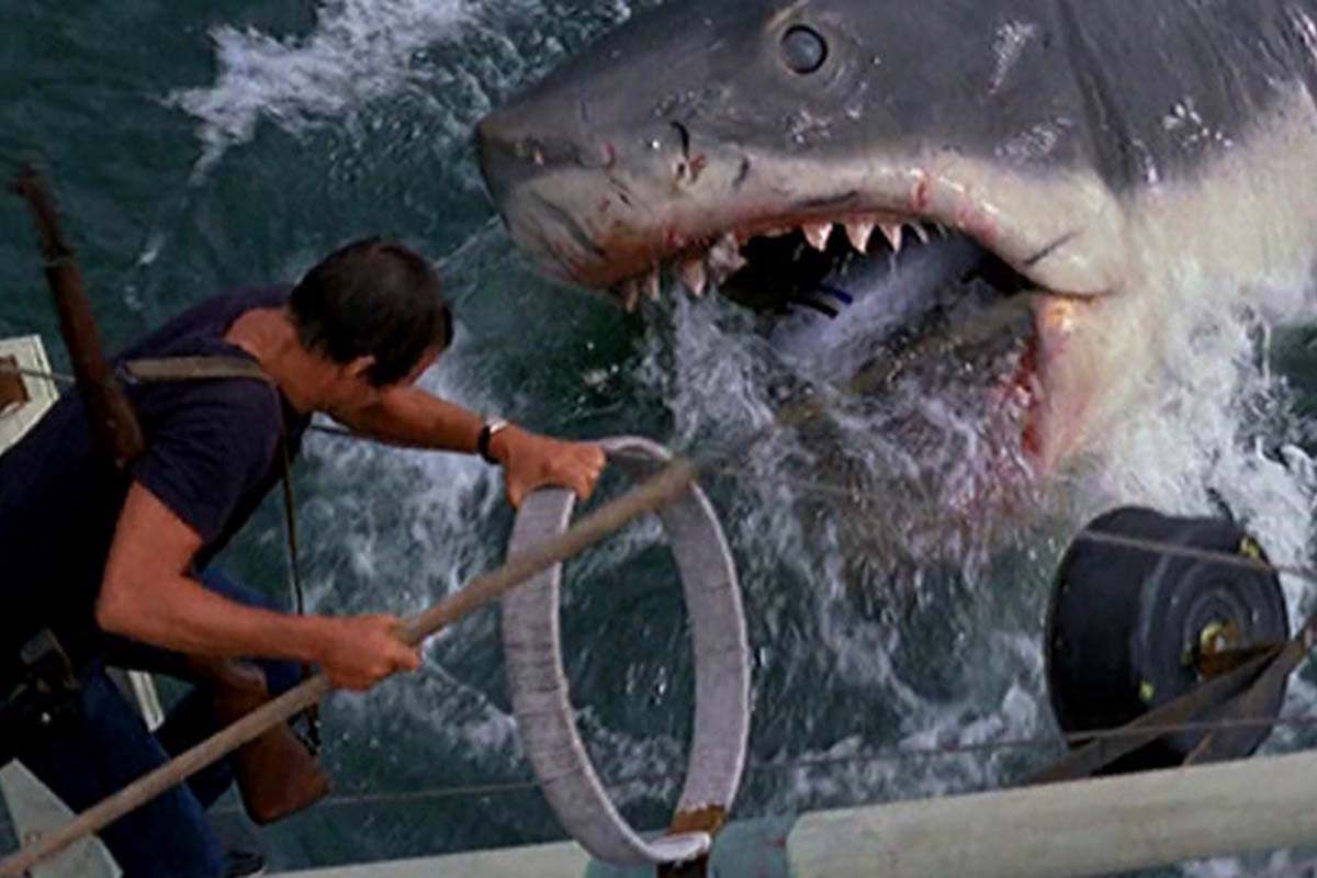 Lo squalo Spielberg