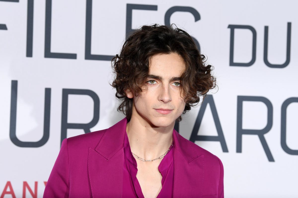 Timothée Chalamet copertina