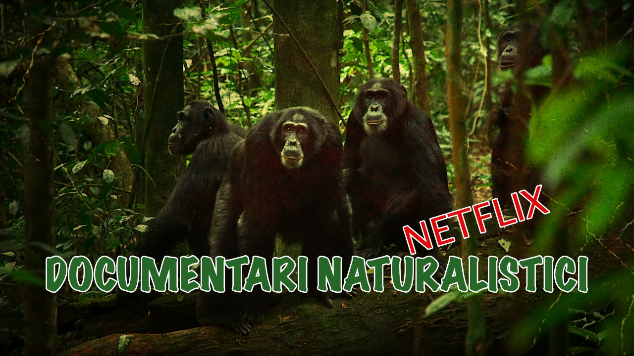 5 documentari sulla natura da non perdere su Netflix