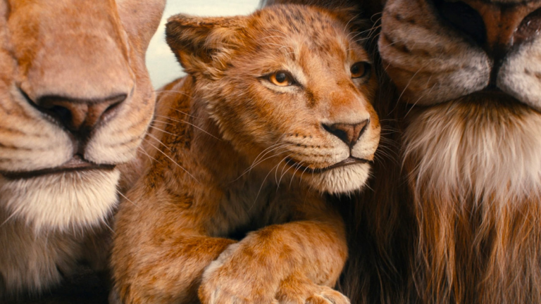 Streaming su Disney+ il film sulla giovinezza di Mufasa di Barry Jenkins in arrivo il 26 marzo