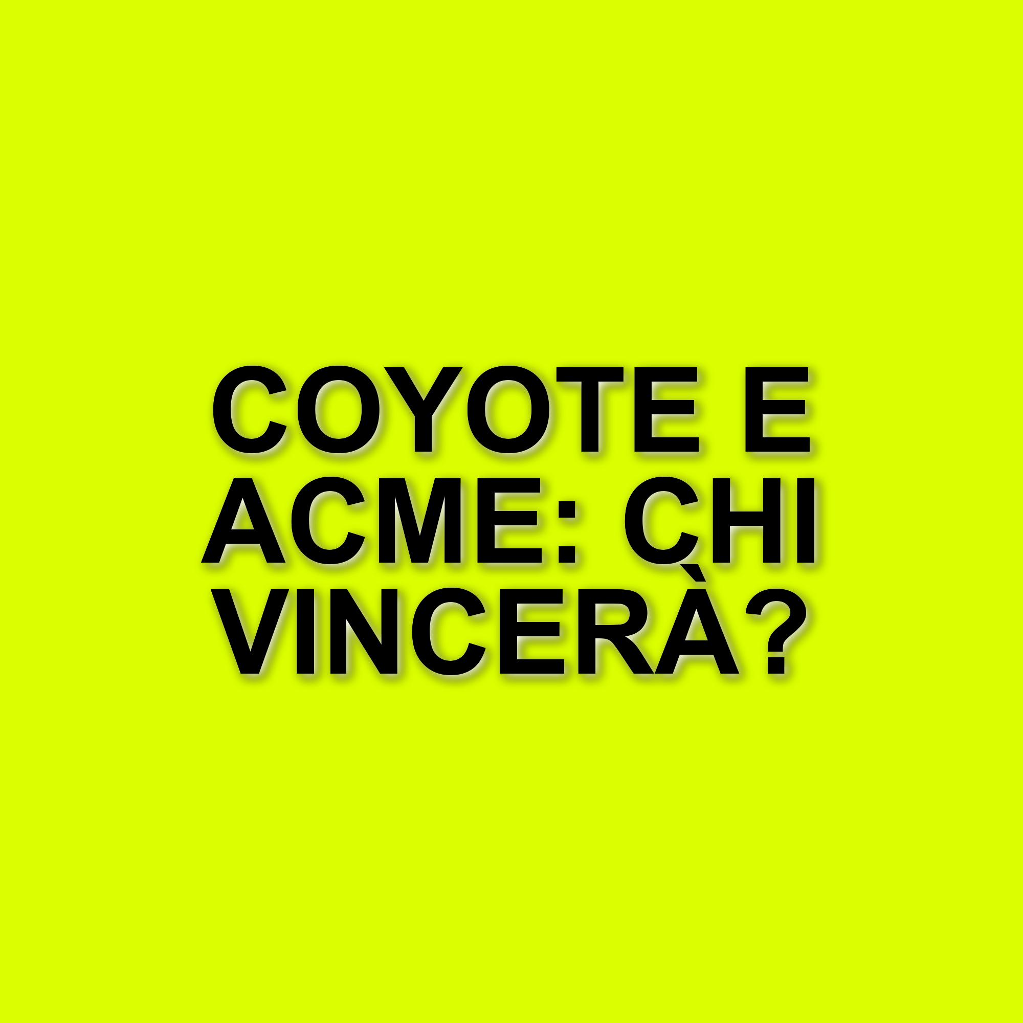 Coyote vs. Acme: Will Forte festeggia l'uscita del film dopo anni di attesa e incertezze