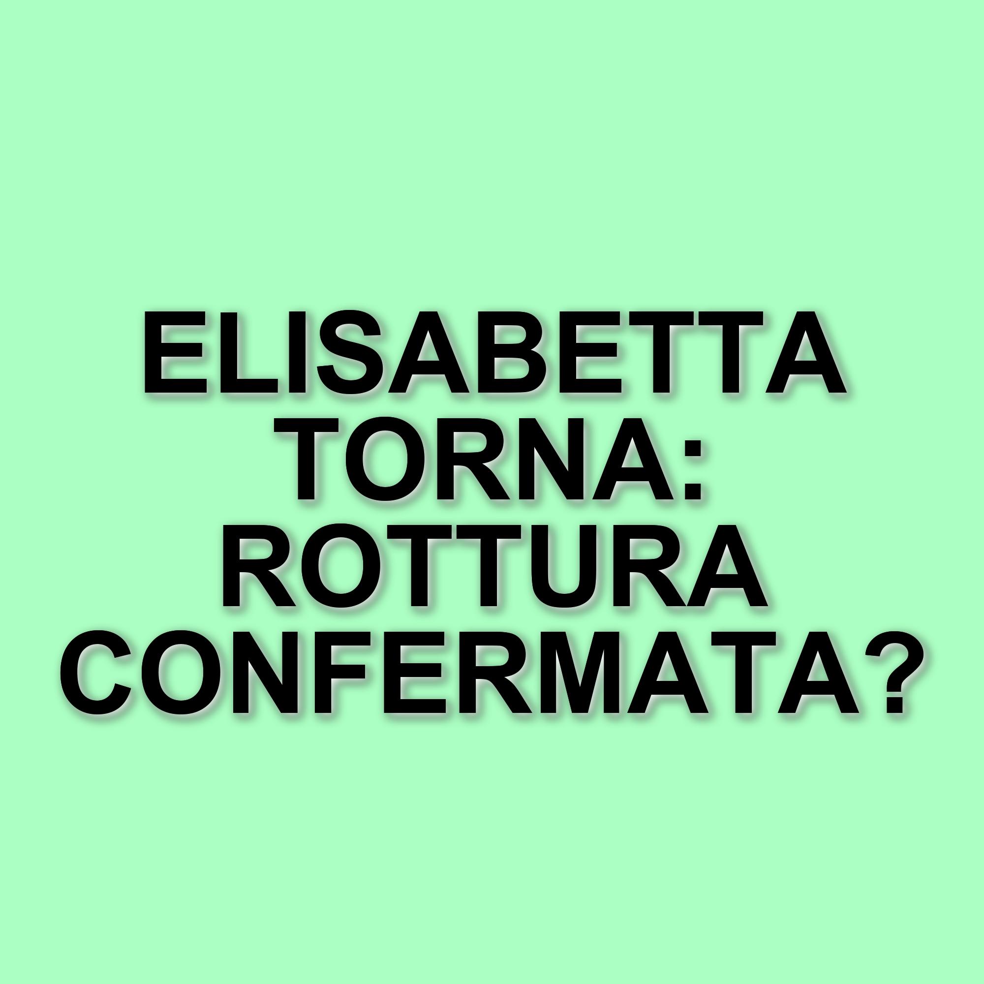 Elisabetta Canalis e Georgian Cimpeanu: la rottura che sorprende i fan