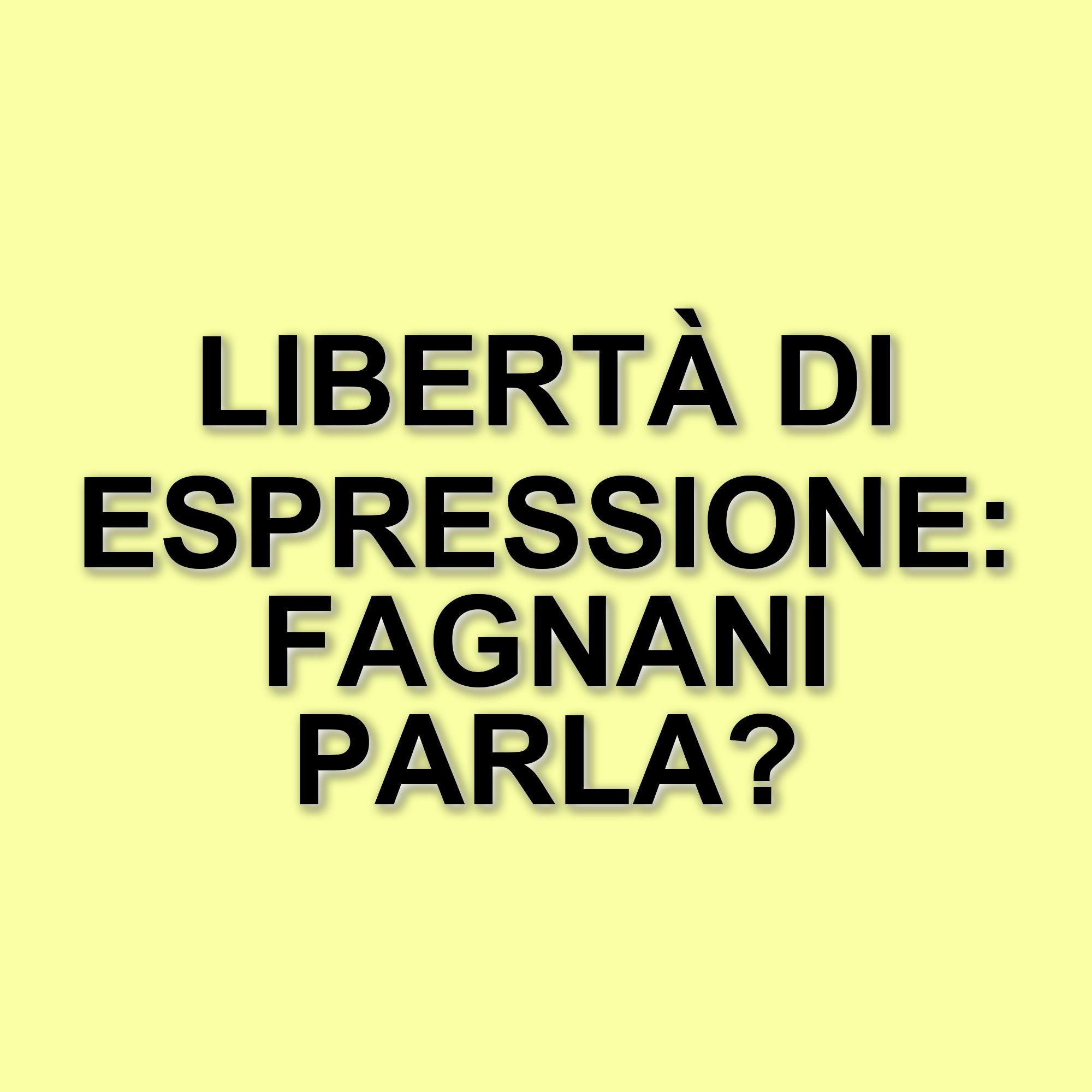 Francesca Fagnani chiarisce la controversia sull'imitazione di Monica Setta da parte di Vincenzo De Lucia