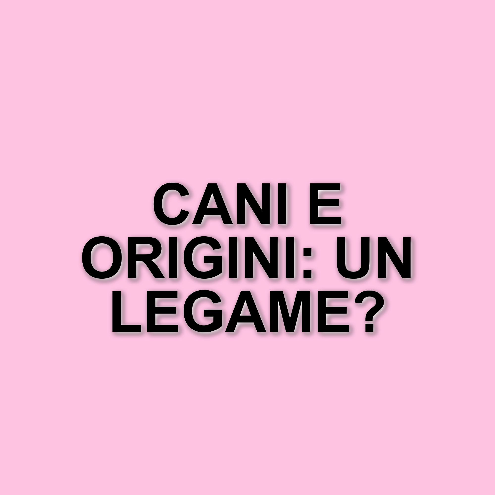 Francesca Fagnani: il ritorno in tv e la sua vita con i cani