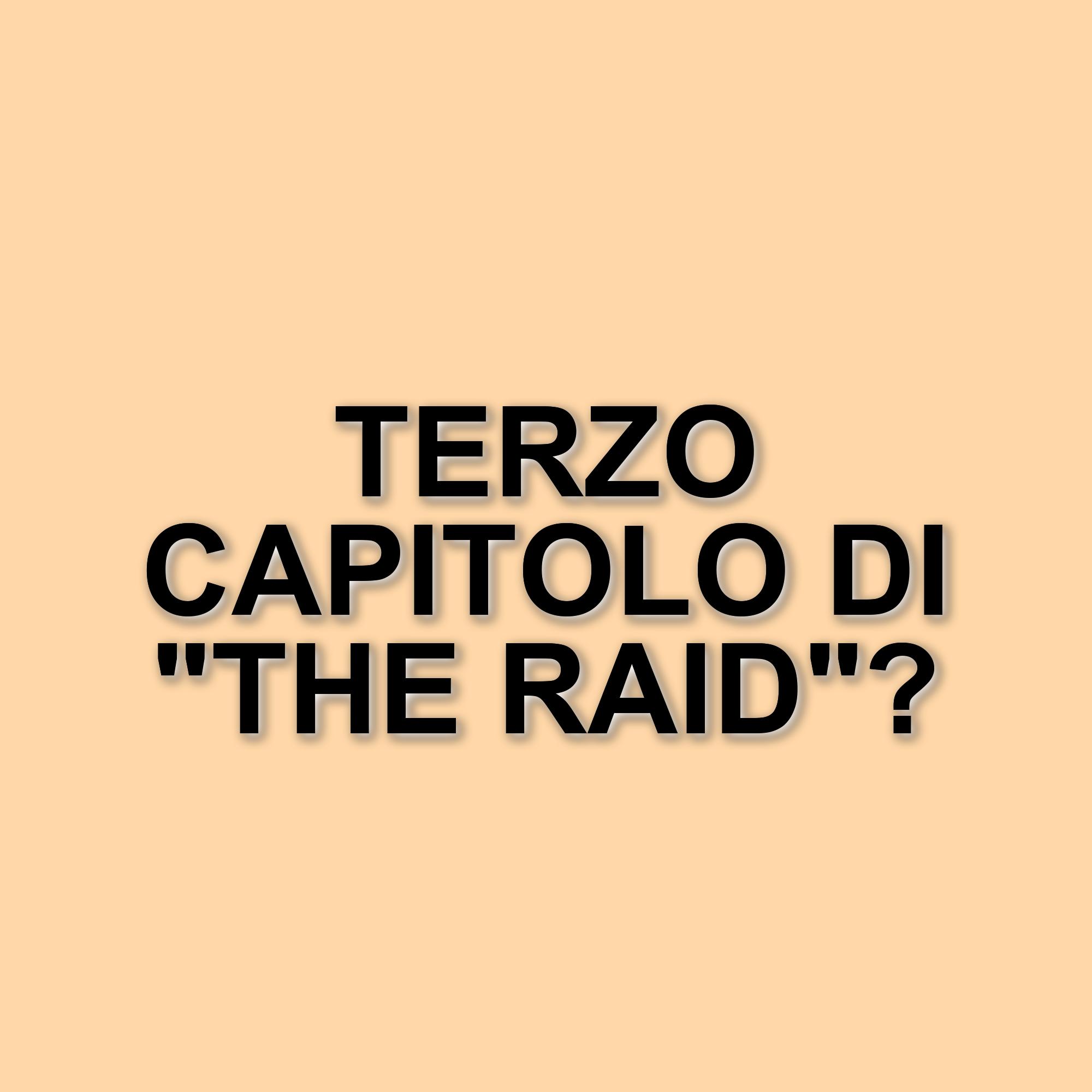 L'attesa per The Raid 3: Gareth Evans parla del futuro della saga dopo l'uscita di Havoc