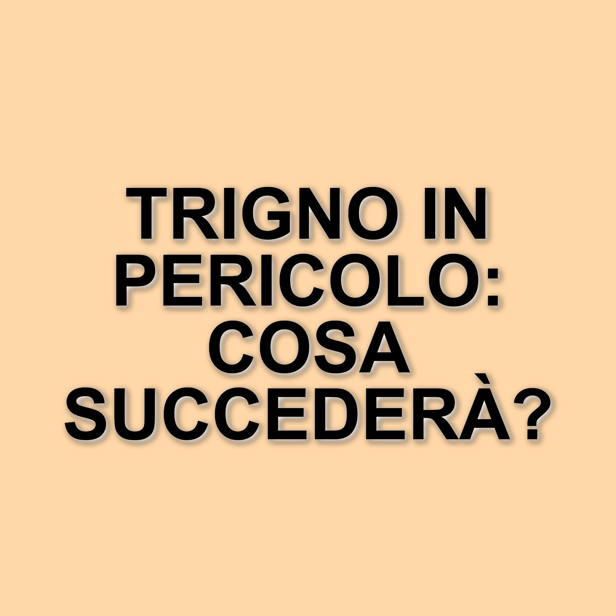 Amici 24: TrigNO a rischio eliminazione, il pubblico teme per il futuro del programma