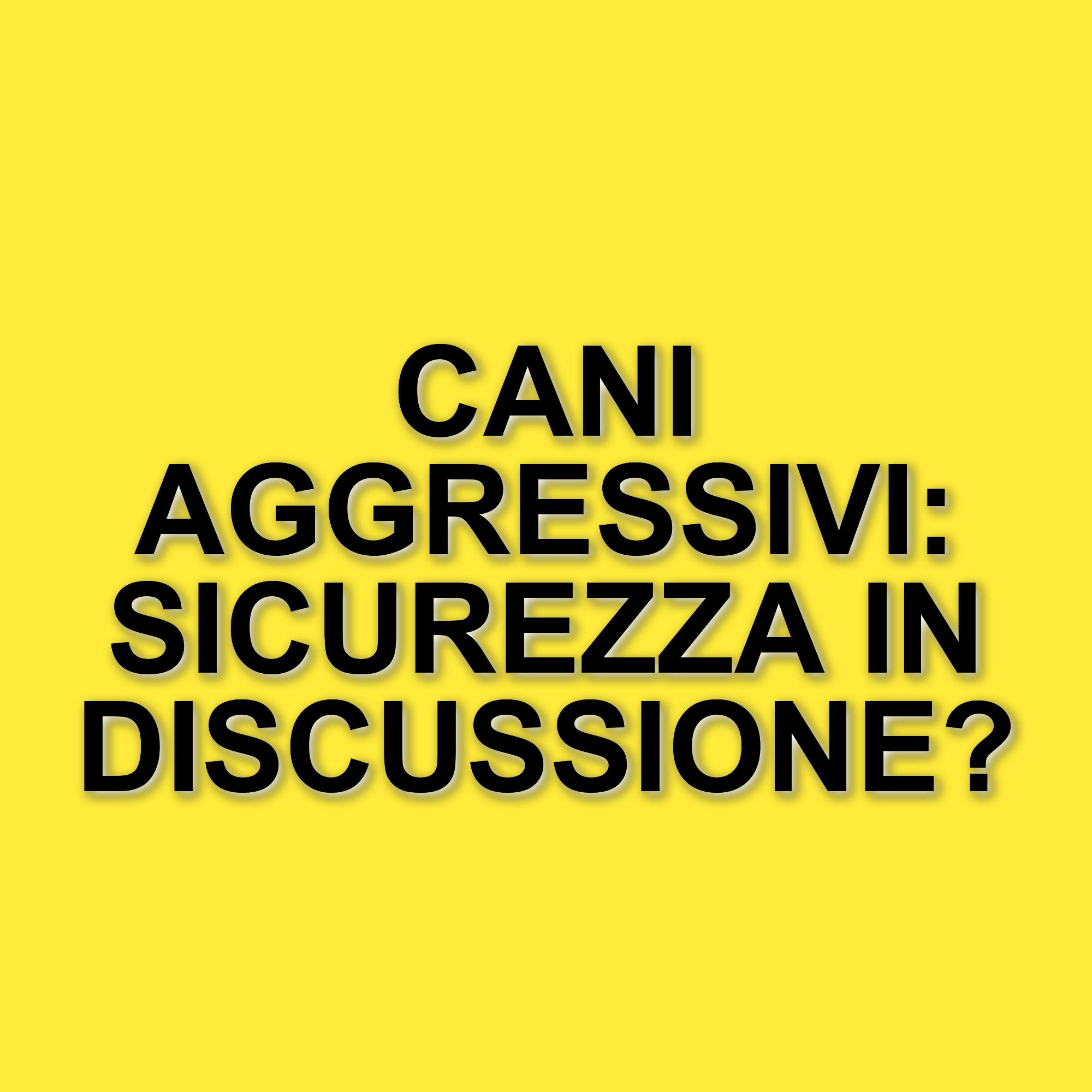 Poletti si infuria in diretta: il dibattito sui cani aggressivi infiamma Mattino 4