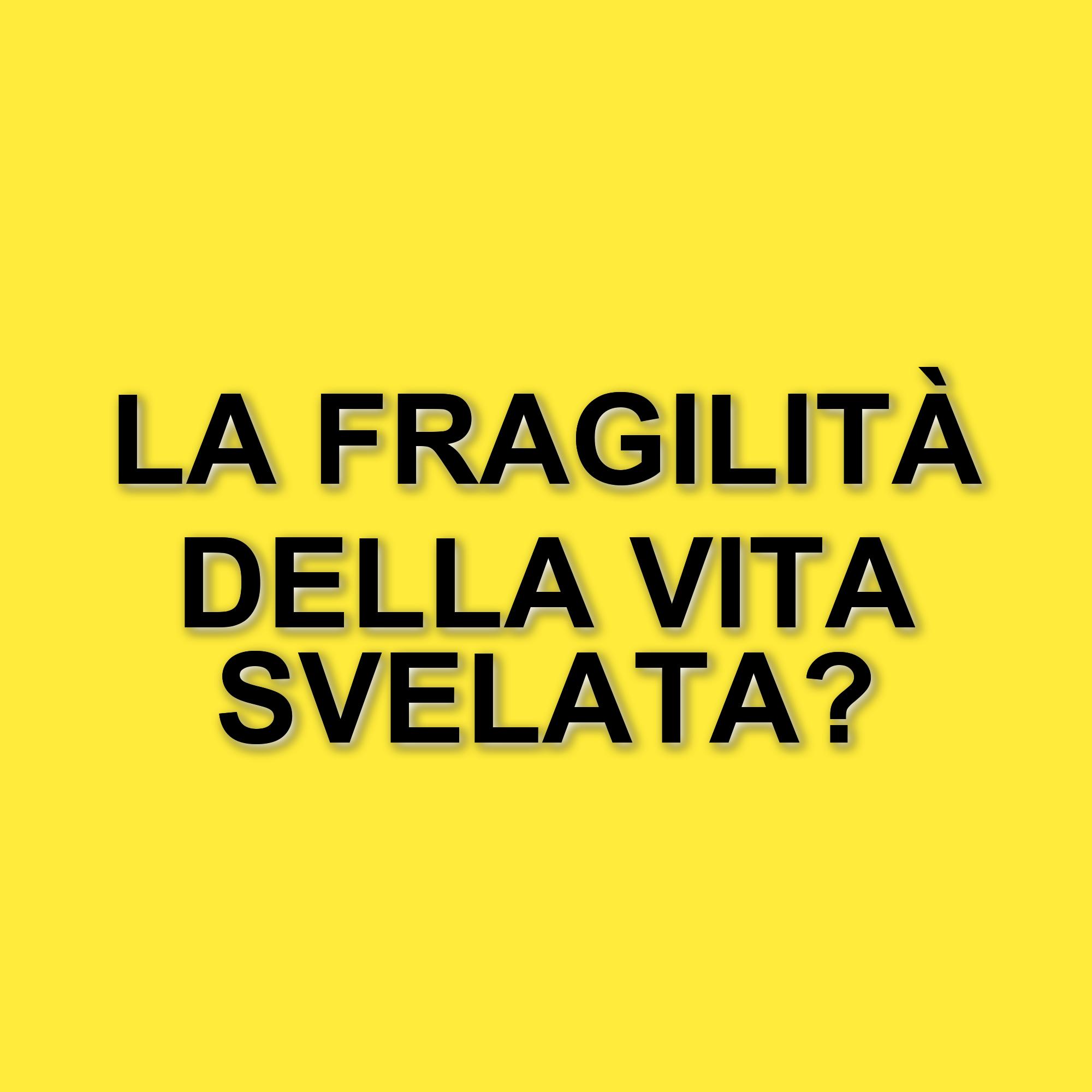 La vita di Chuck: il nuovo adattamento di Stephen King promette forti emozioni