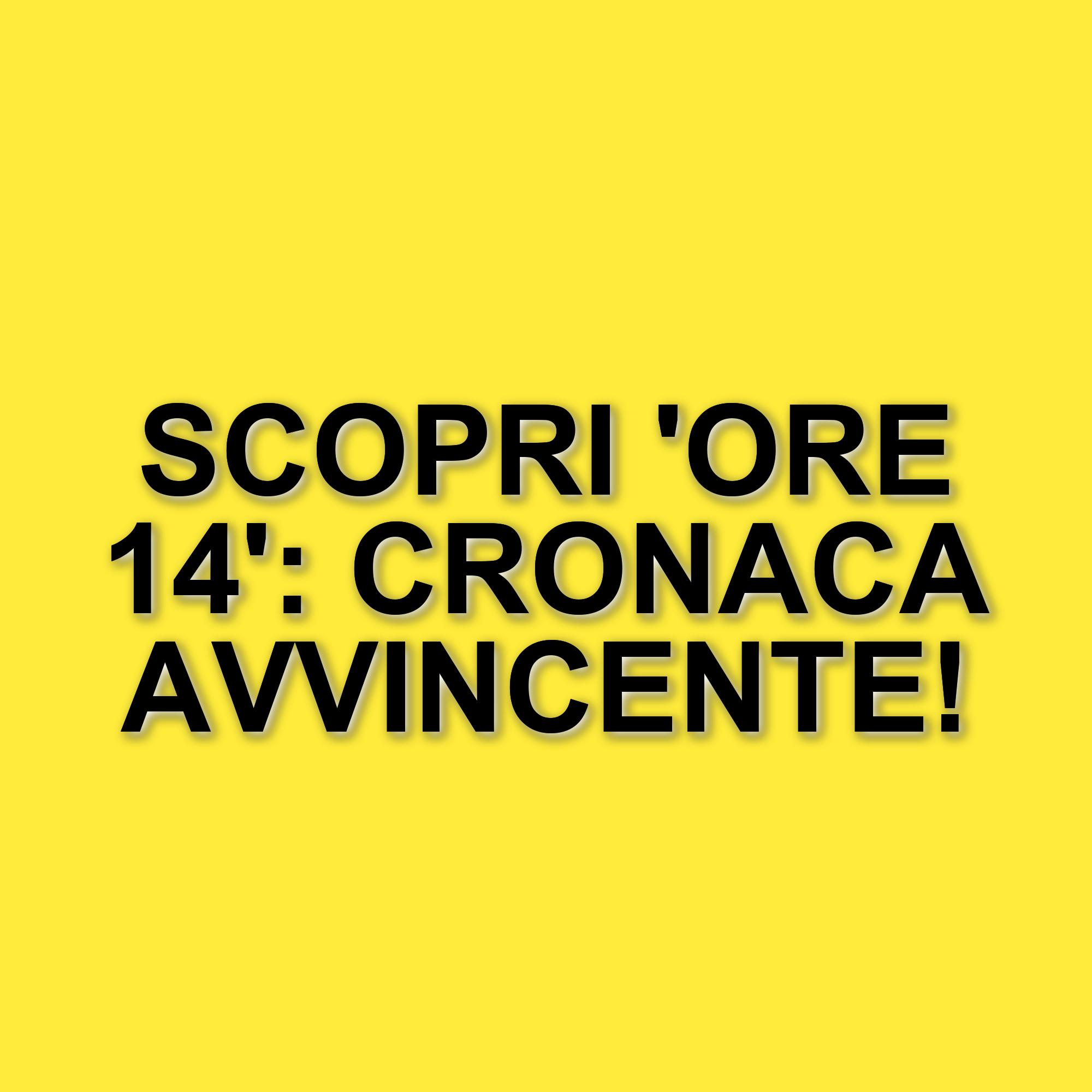Ore 14 si prepara per la prima serata: le novità in arrivo da Rai 2