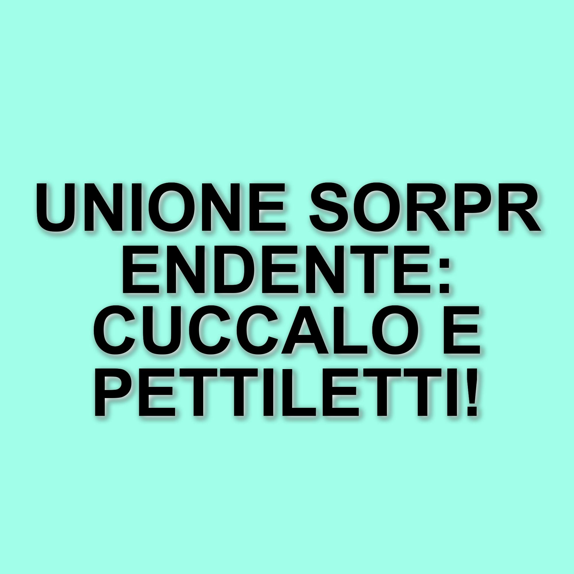 Amici 24: Unione di Forze tra CuccaLo e PettiLetti nel Serale