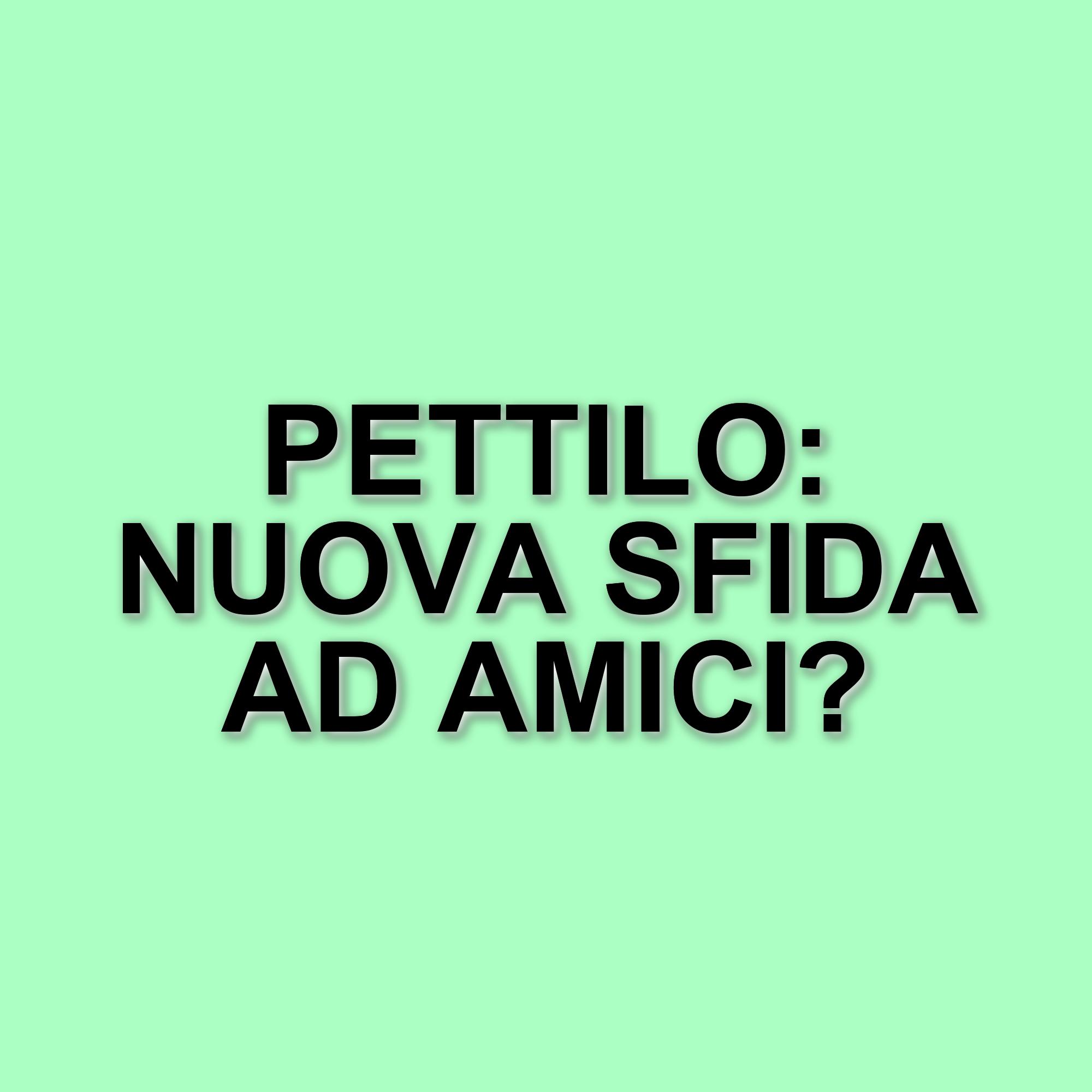Amici: il talent di Maria De Filippi cambia faccia con la nuova squadra PettiLo
