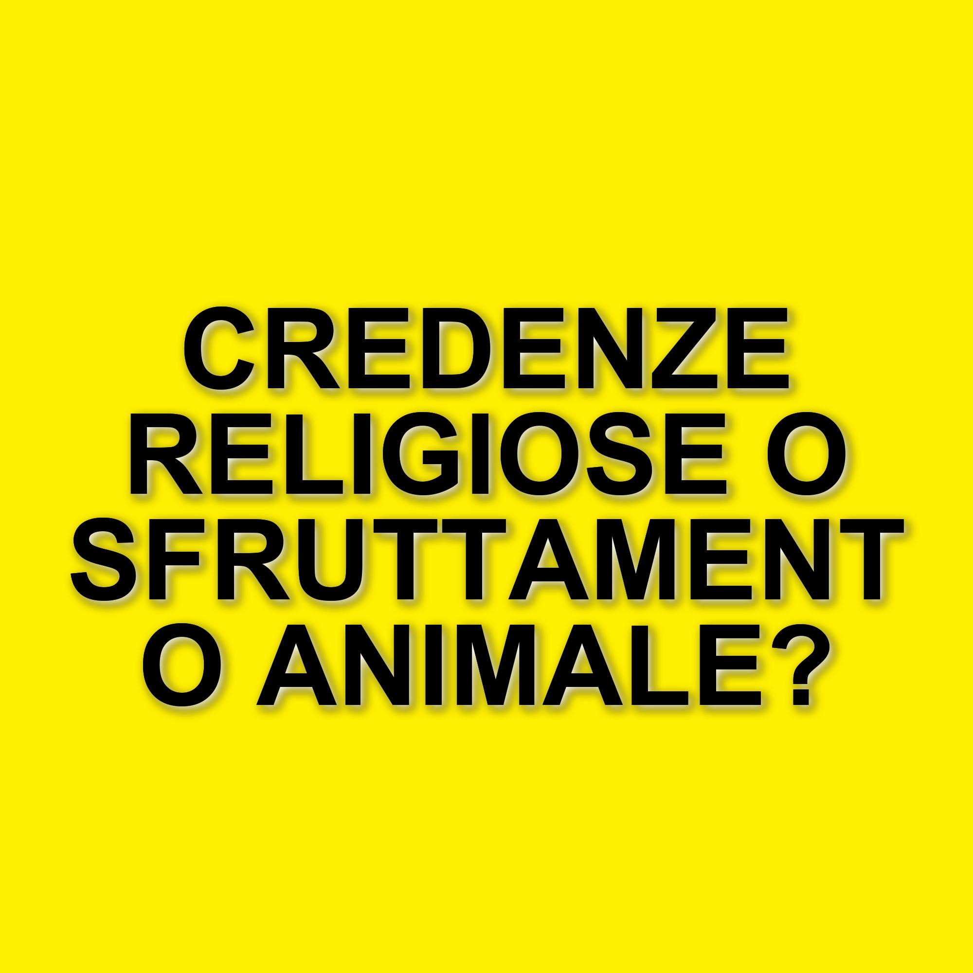 Kip Andersen e il suo viaggio tra fede e sfruttamento animale nel documentario "Christspiracy"
