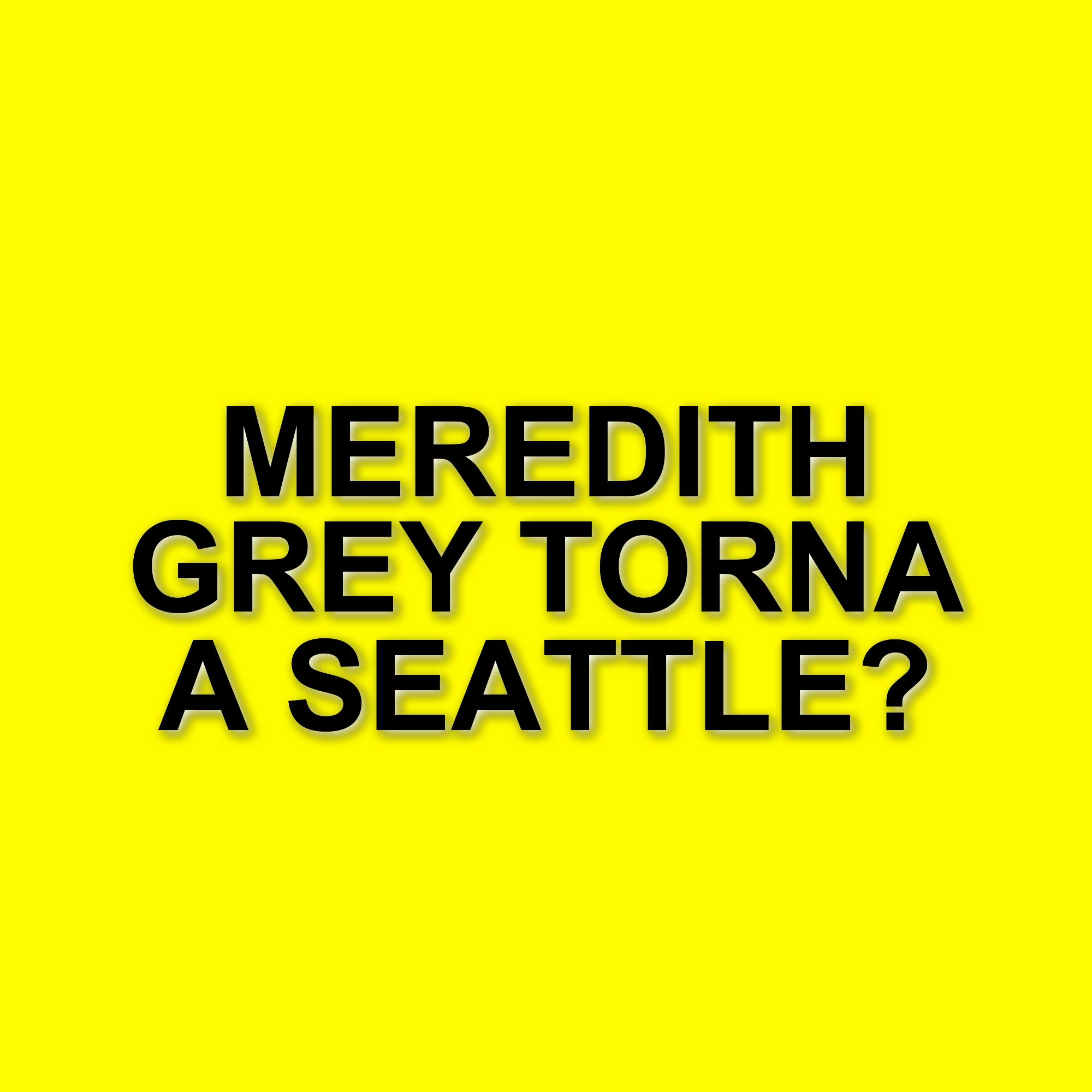 Grey's Anatomy 21: Il medical drama torna su Disney+ con nuovi episodi e colpi di scena