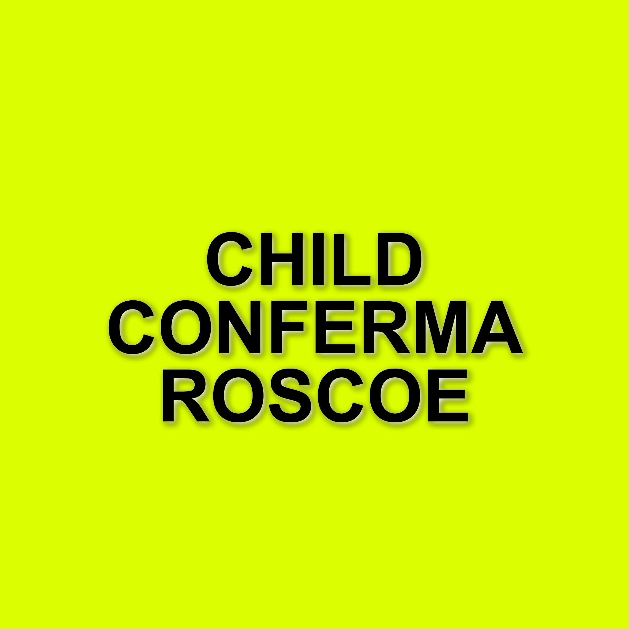Lee Child chiarisce l'assenza di Roscoe nelle future stagioni di Reacher