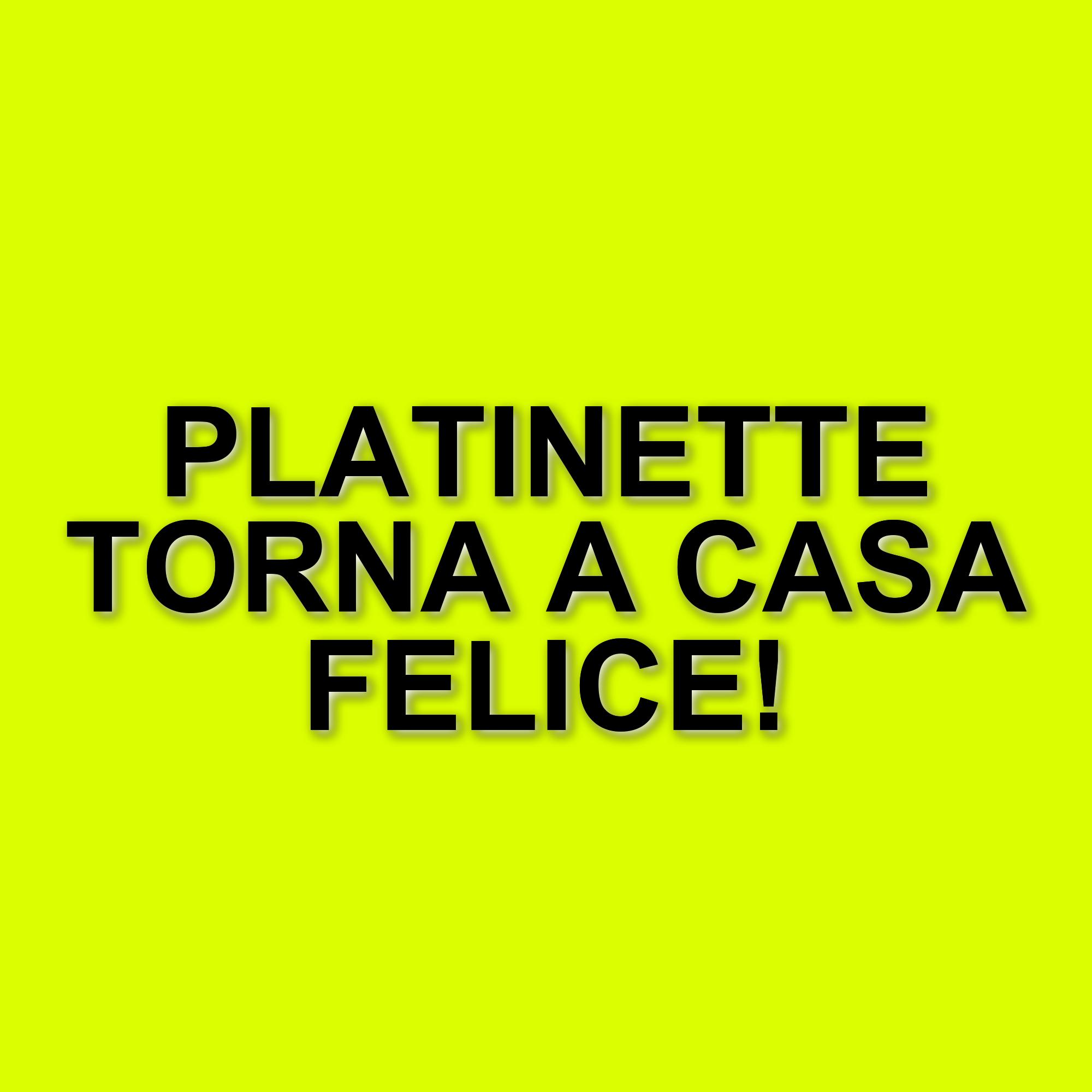 Mauro Coruzzi, Platinette, torna a casa dopo il ricovero: la gioia del ritorno tra le mura domestiche