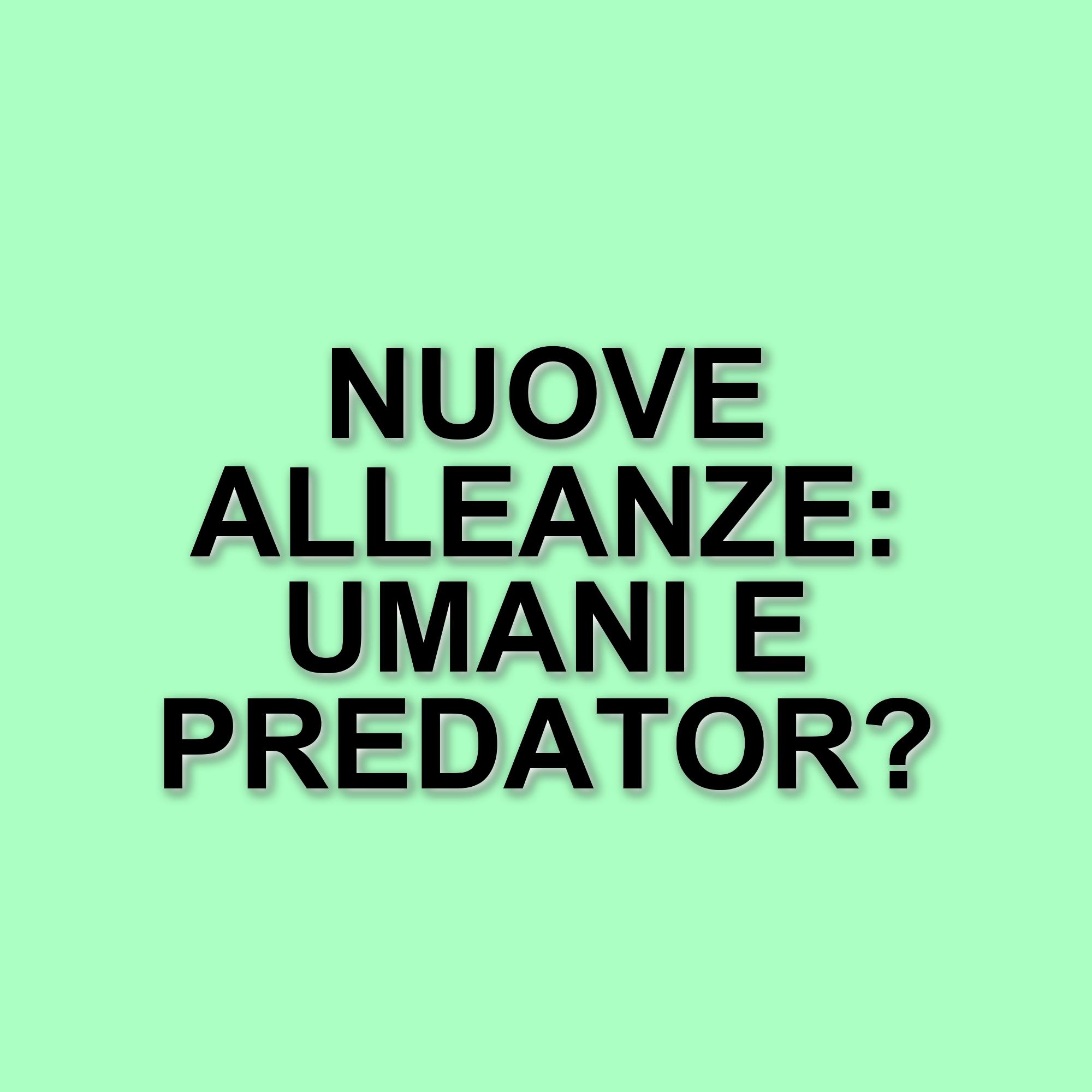 Novità su Predator: Badlands, il film che ribalta la saga horror sci-fi