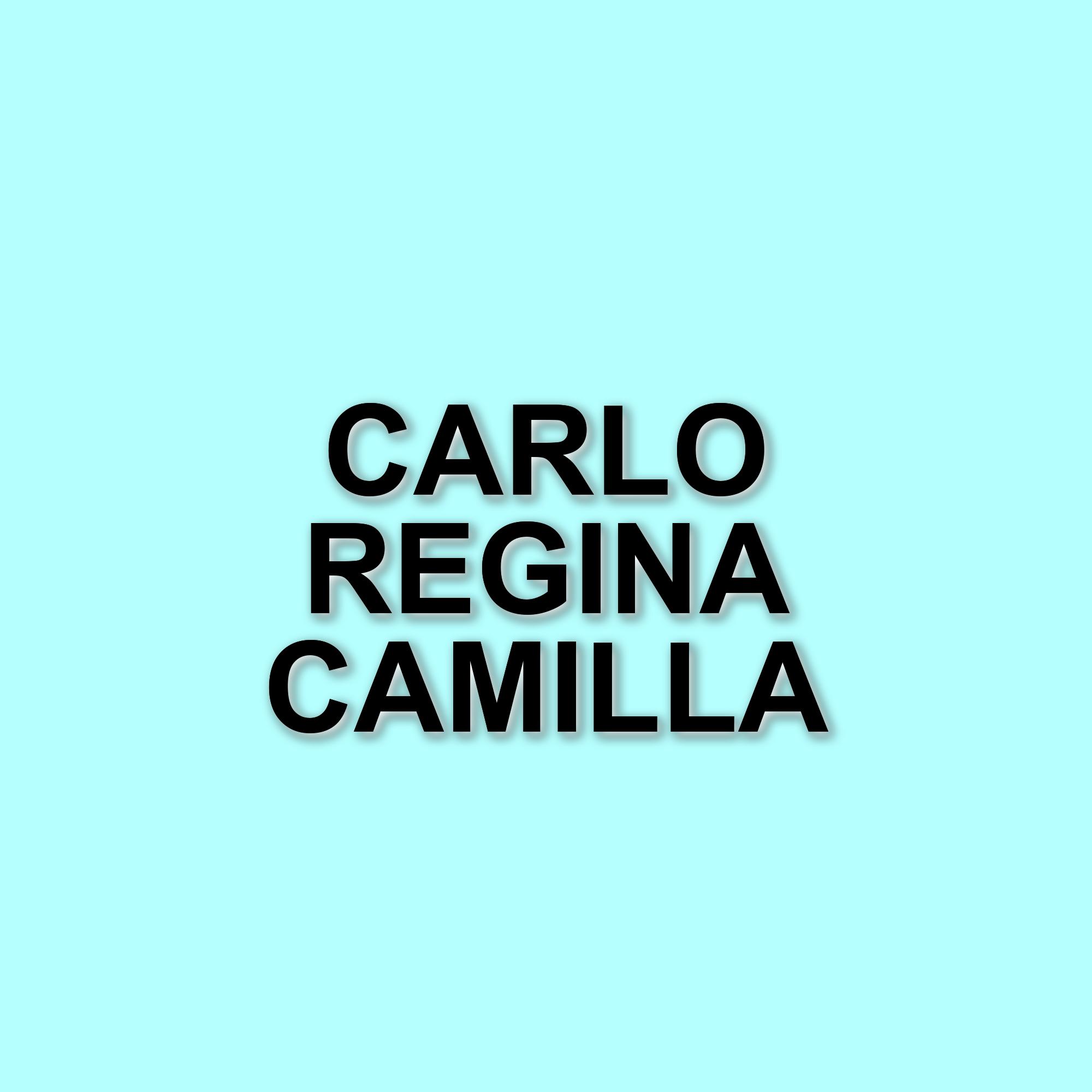 Re Carlo e la Regina Camilla: un anniversario speciale a Roma con gelato e impegni ufficiali