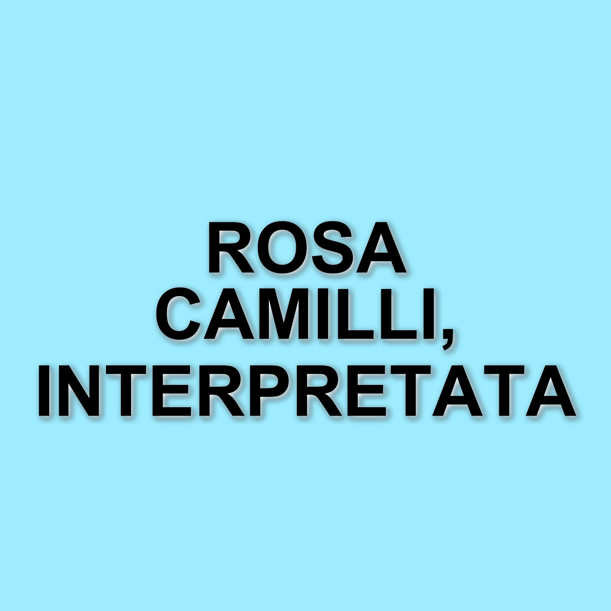 Rosa Camilli: il nuovo volto de Il Paradiso delle Signore che conquista il pubblico