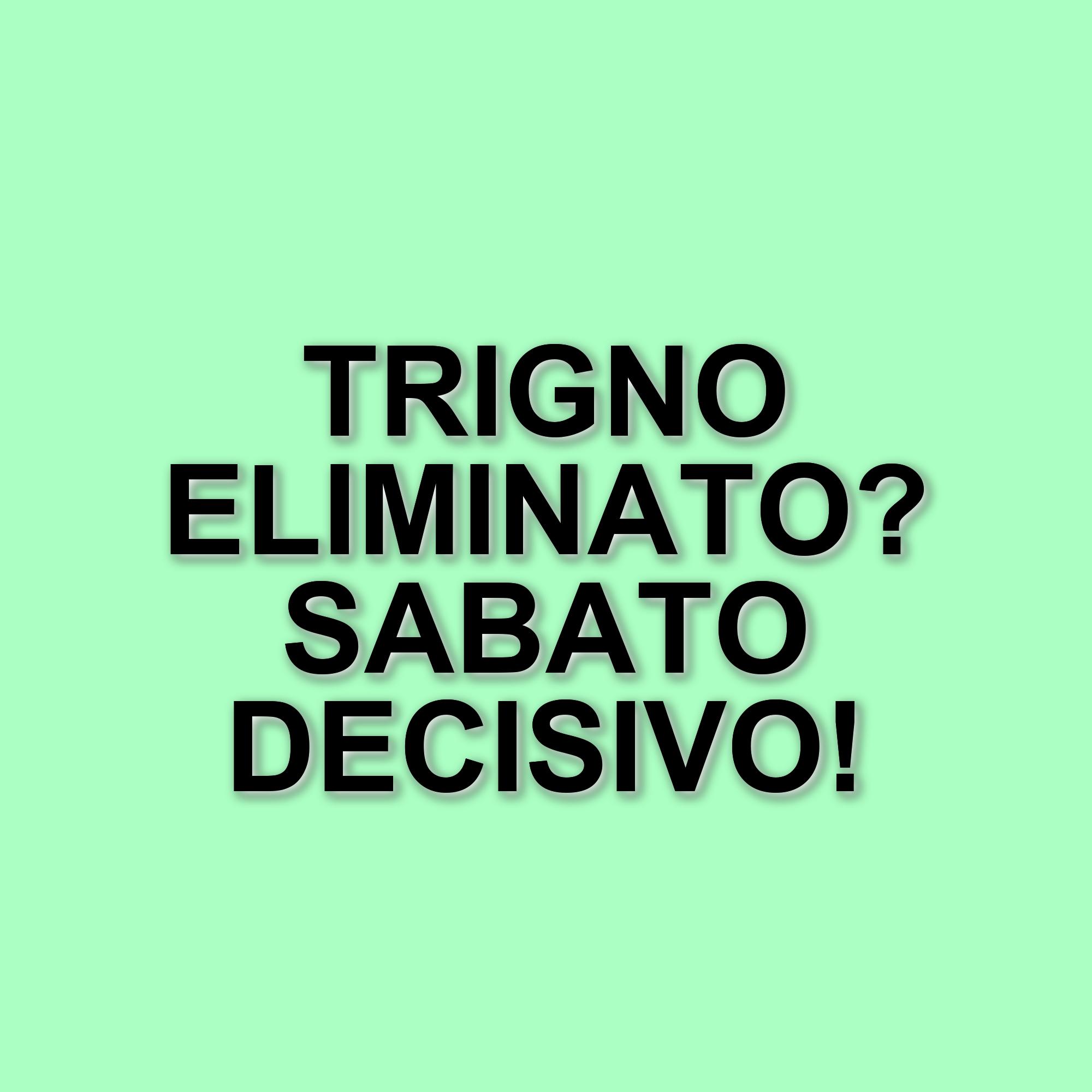 Amici 24: il serale di sabato 26 aprile e il possibile eliminato tra i concorrenti