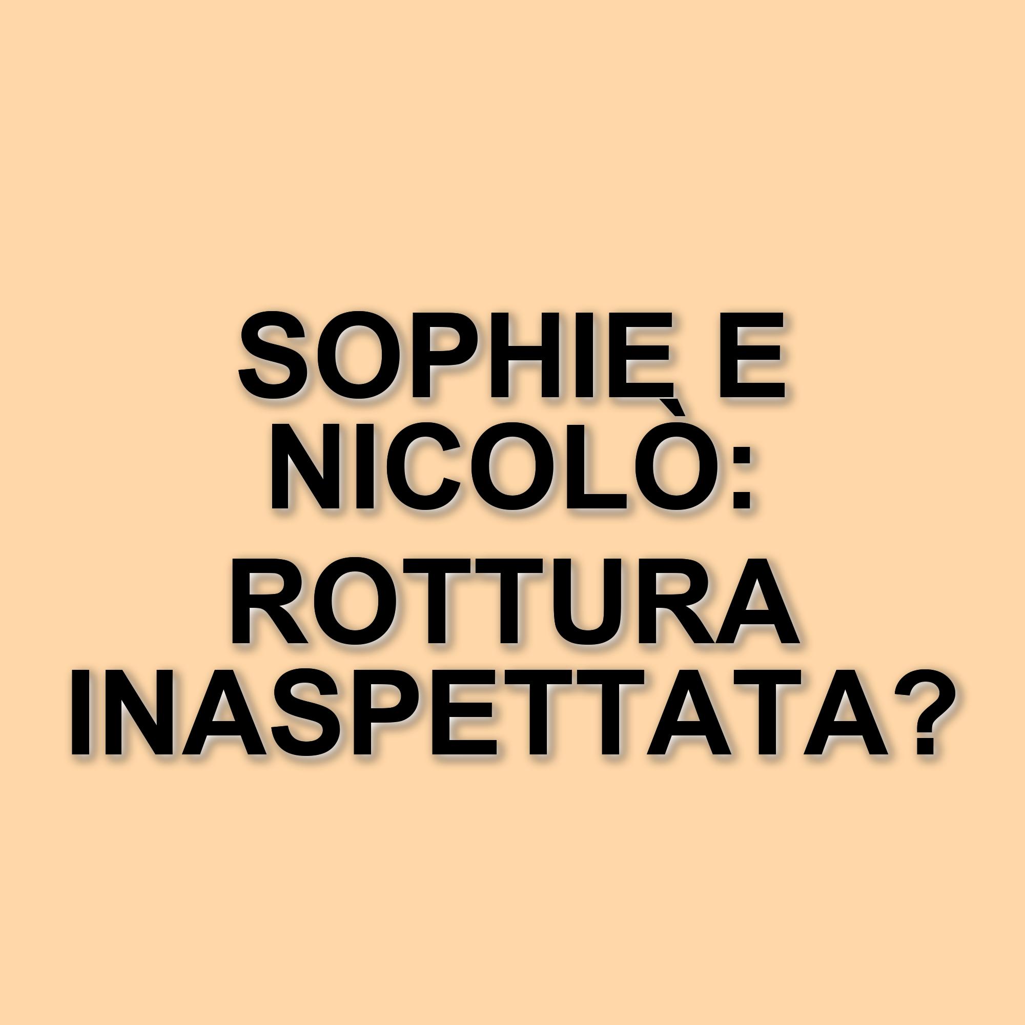 La storia d'amore tra Sophie Codegoni e Nicolò Fagioli si conclude prima di decollare