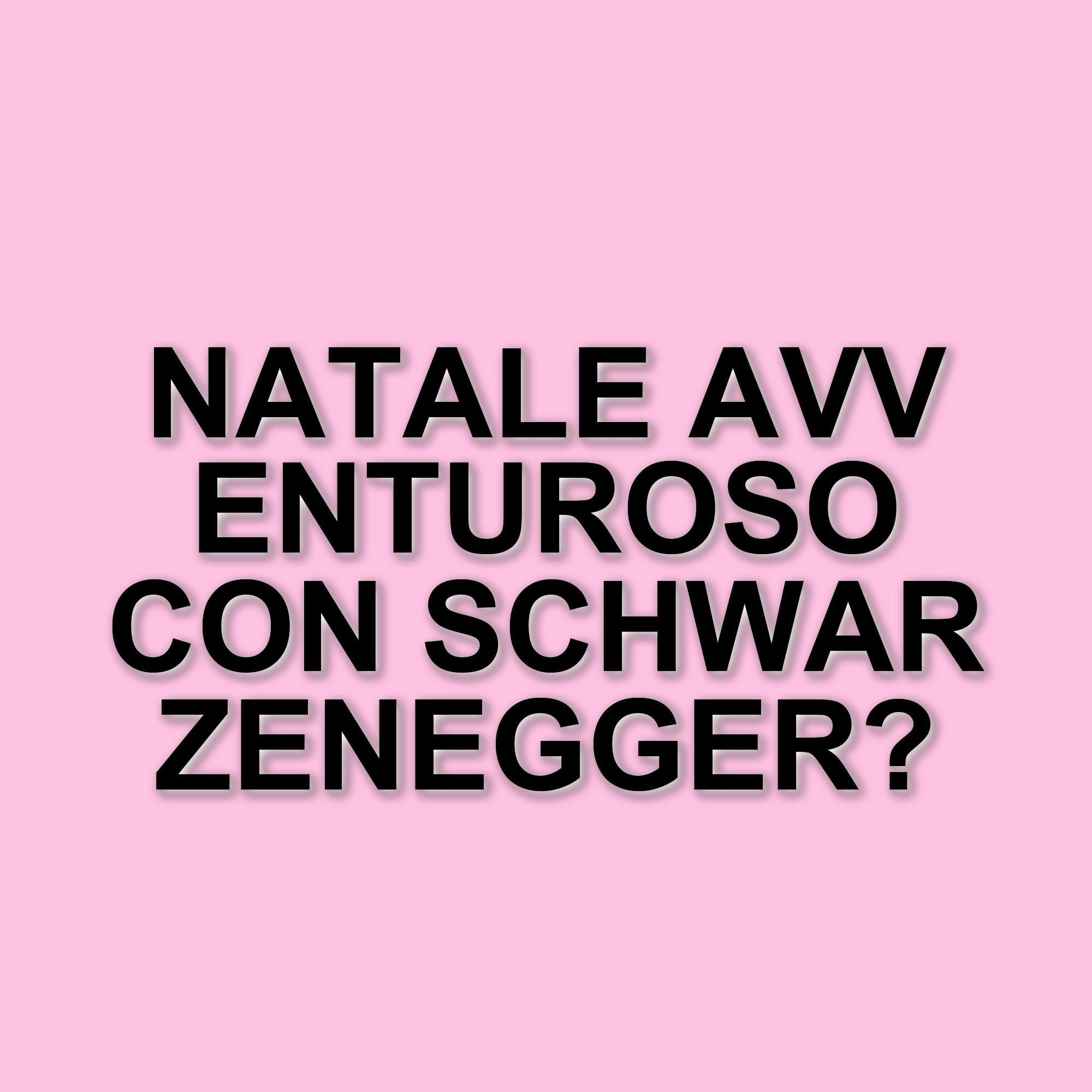 Arnold Schwarzenegger e Alan Ritchson protagonisti di un film natalizio: ecco The Man with the Bag