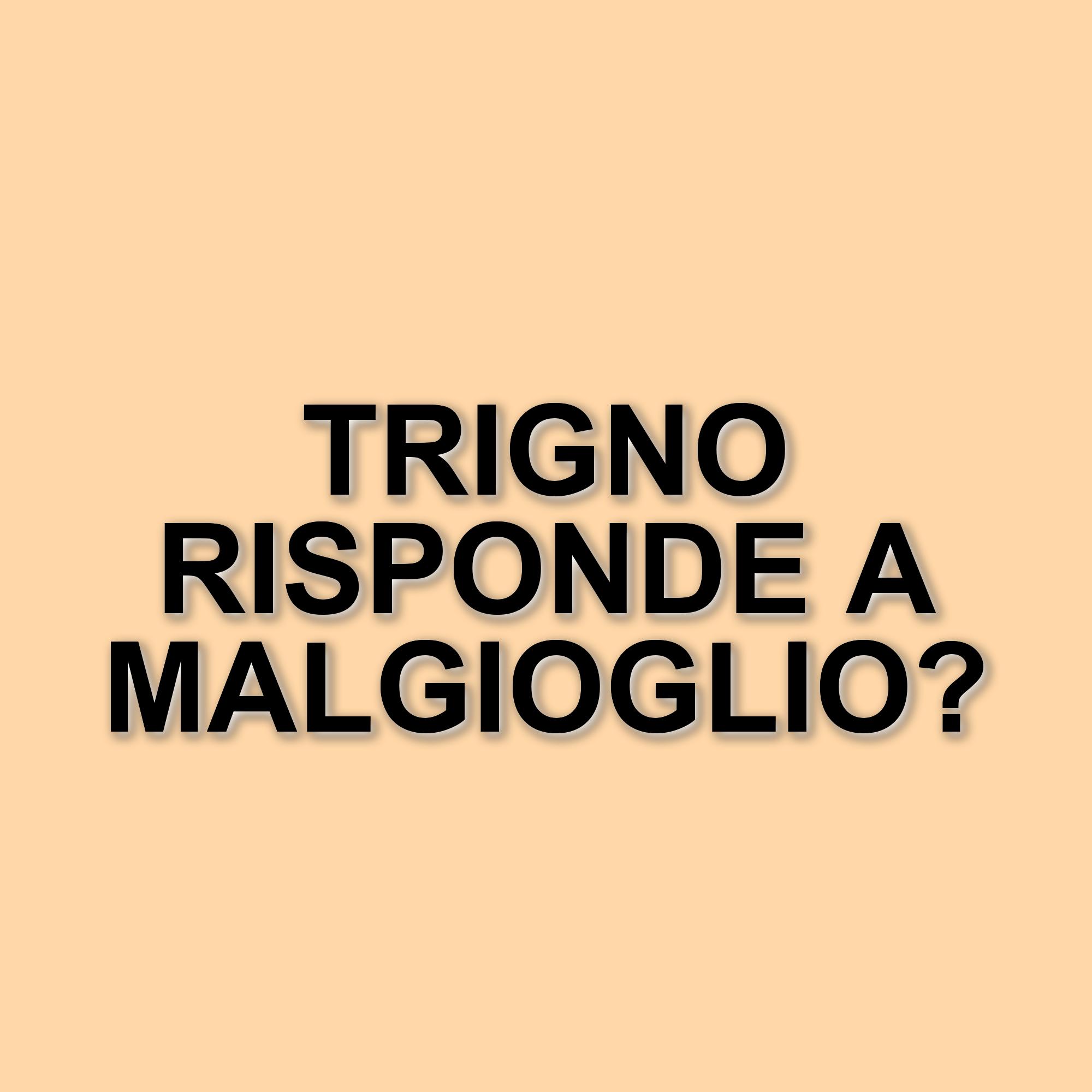 Tensione e polemiche ad Amici: il confronto tra TrigNo e Malgioglio infiamma il talent