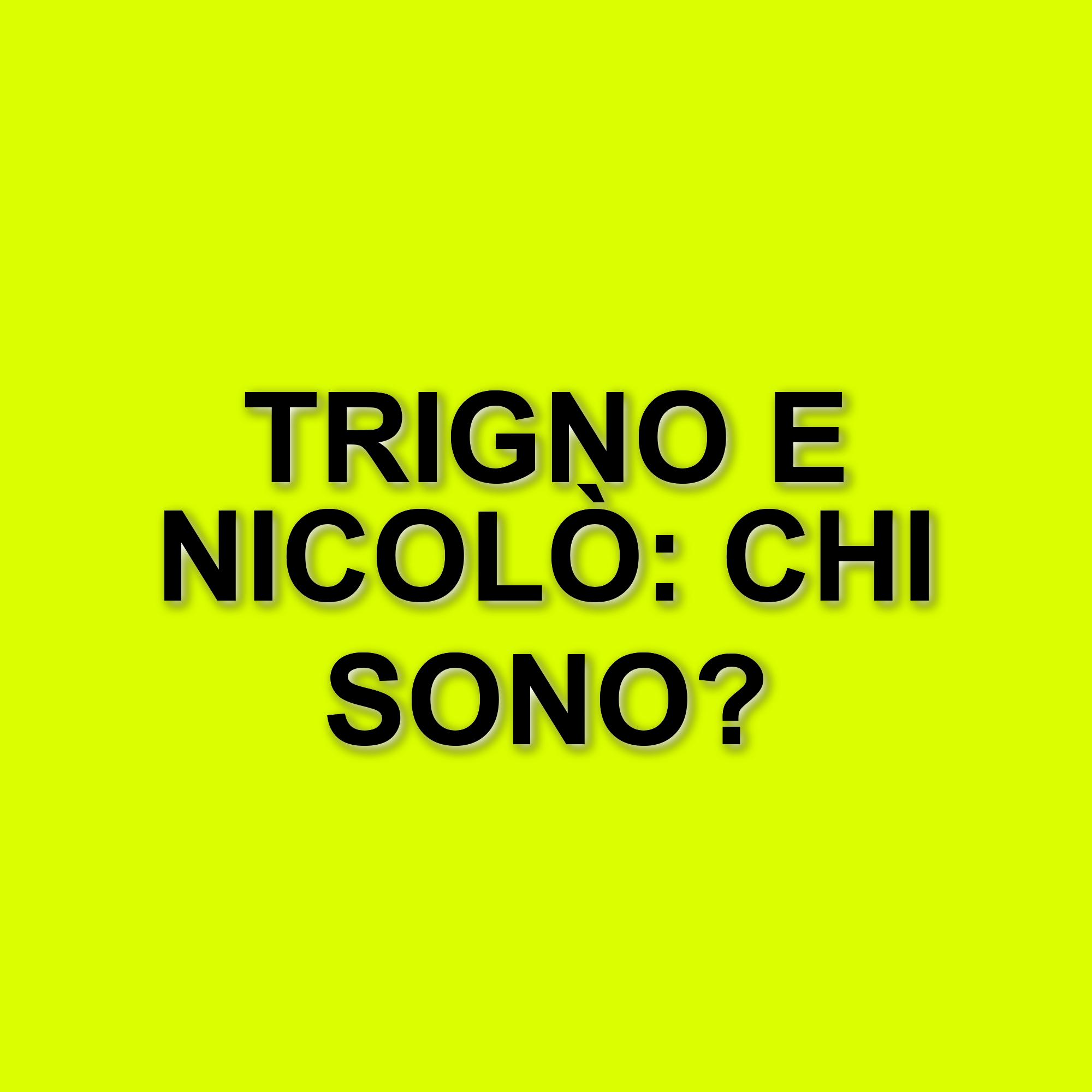 TrigNo e Nicolò di Amici 24: il sostegno di Pierpaolo Spollon e il crescente successo