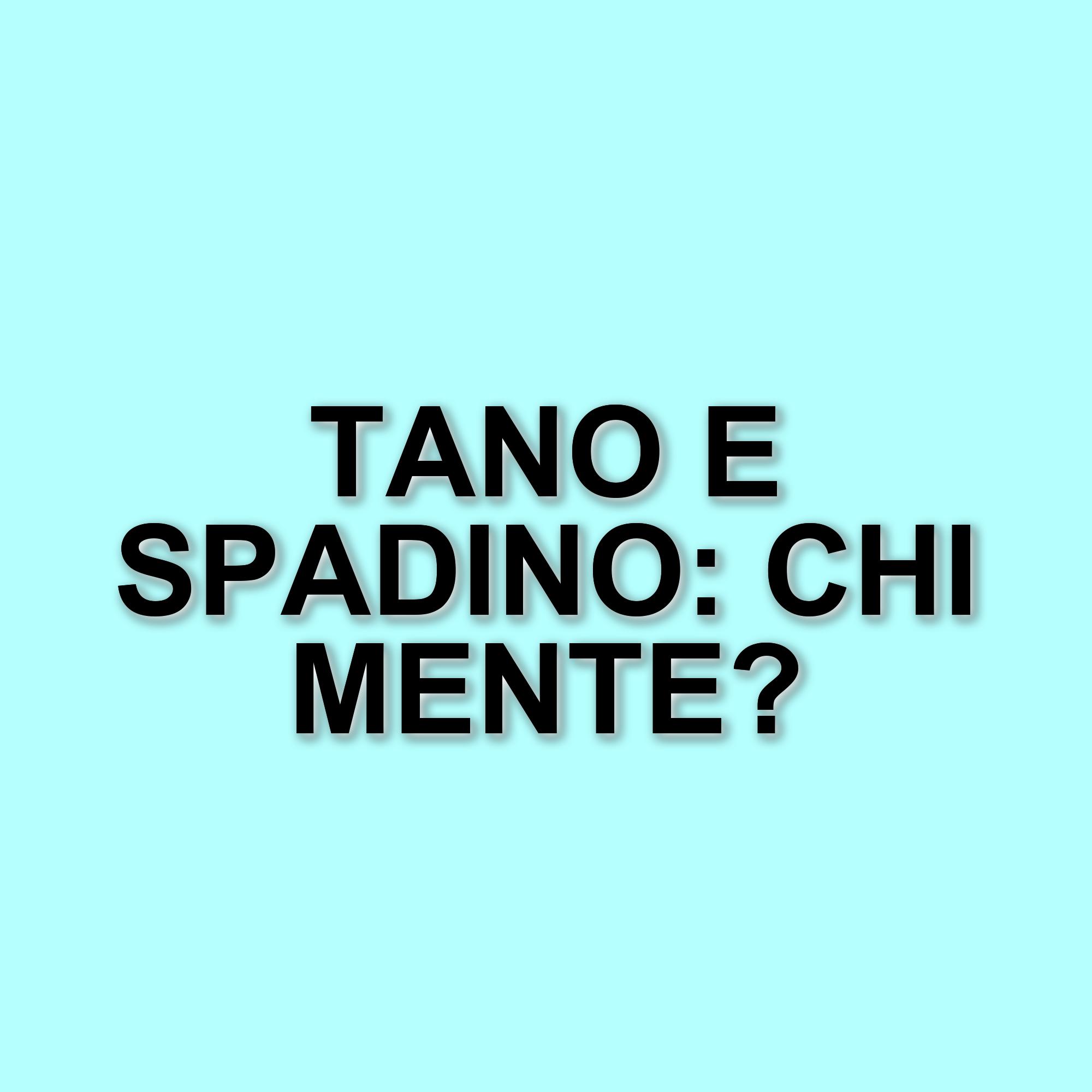 Lorenzo Tano accusa Spadino e Teresanna: tensione all'Isola dei Famosi