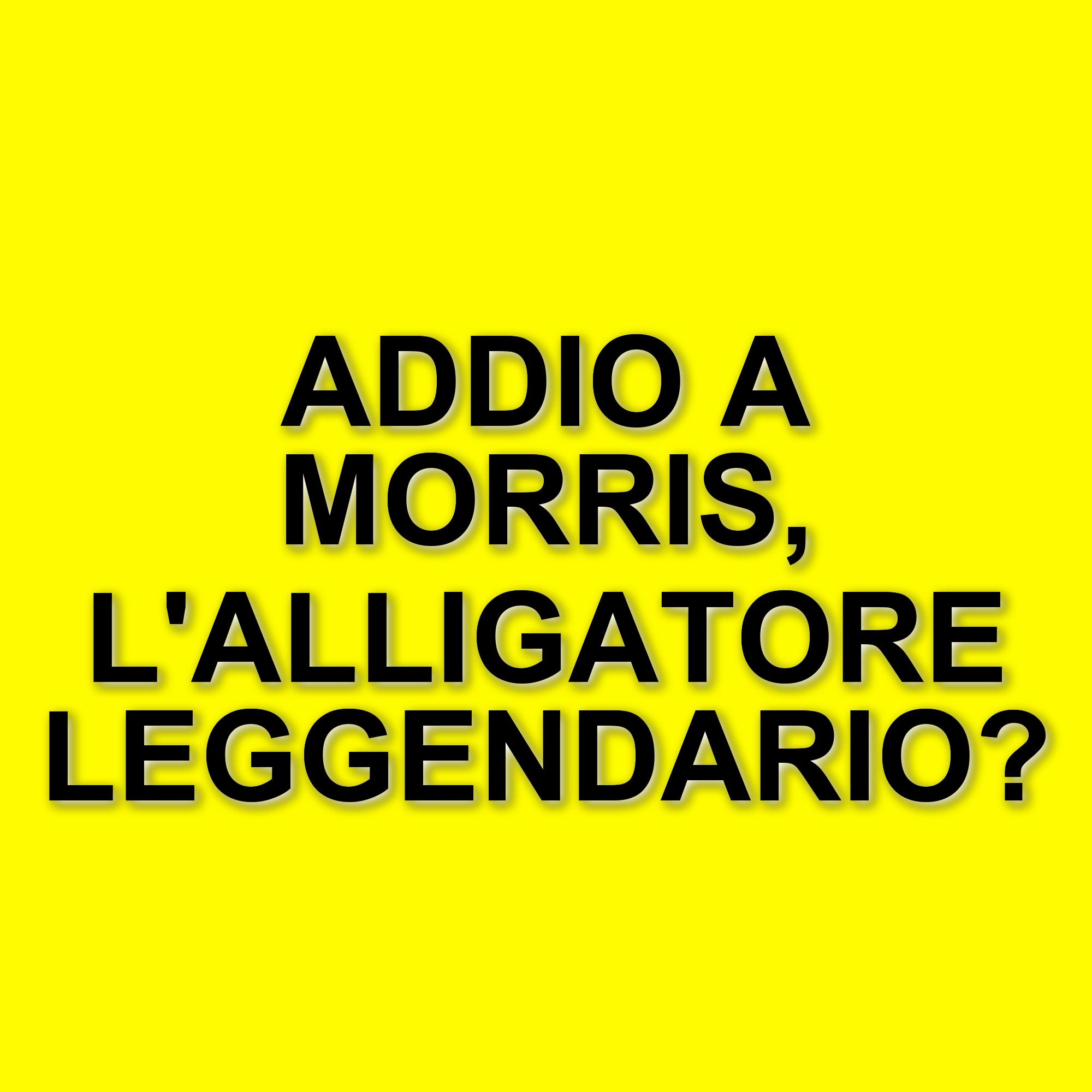 Adam Sandler ricorda Morris, l'alligatore icona del cinema anni '90, scomparso a 80 anni
