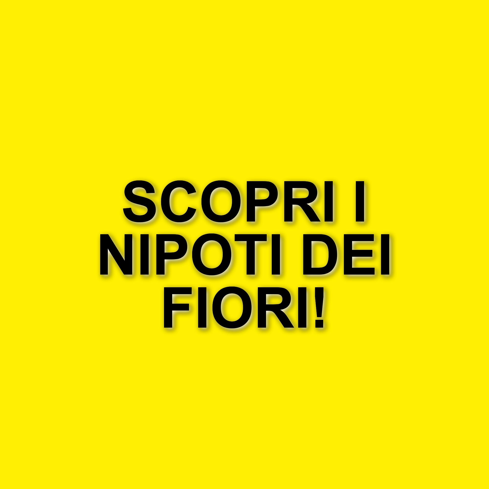 Aureliano Amadei presenta "I nipoti dei fiori": un viaggio tra libertà e memoria